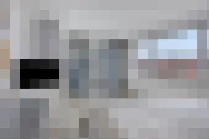 Nieuwlandstraat 20 Zoetermeer thumbnail 29