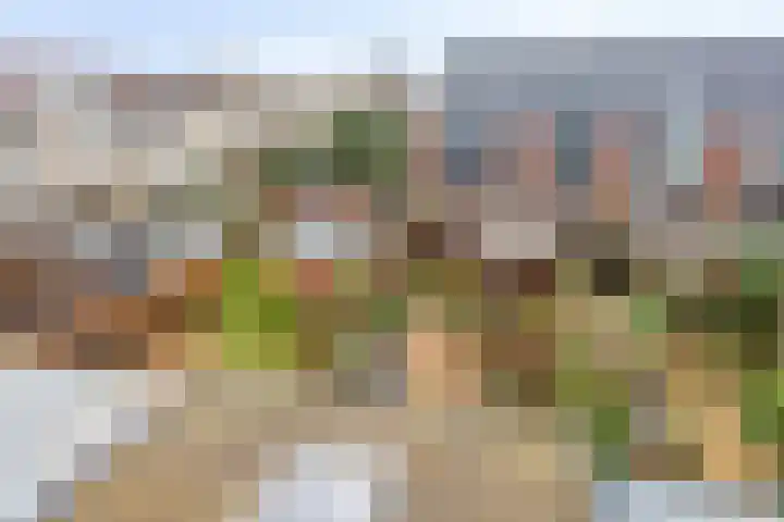 Nieuwlandstraat 20 Zoetermeer thumbnail 33