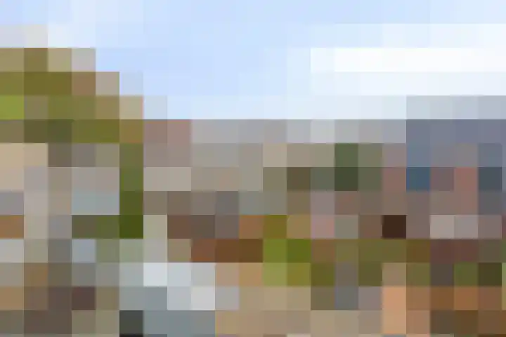 Nieuwlandstraat 20 Zoetermeer thumbnail 34