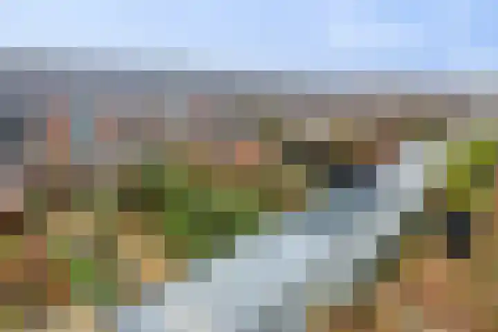 Nieuwlandstraat 20 Zoetermeer thumbnail 35