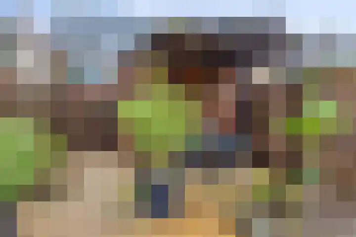 Nieuwlandstraat 20 Zoetermeer thumbnail 38