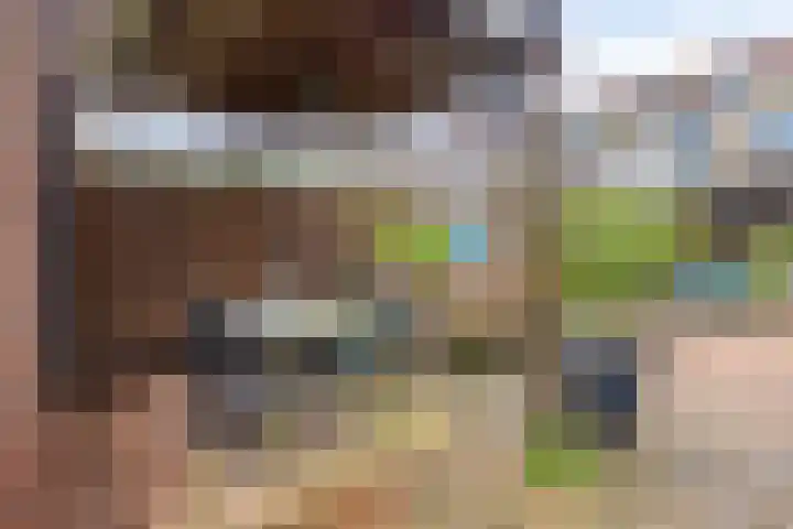 Nieuwlandstraat 20 Zoetermeer thumbnail 39