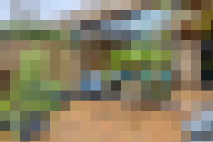 Nieuwlandstraat 20 Zoetermeer thumbnail 40