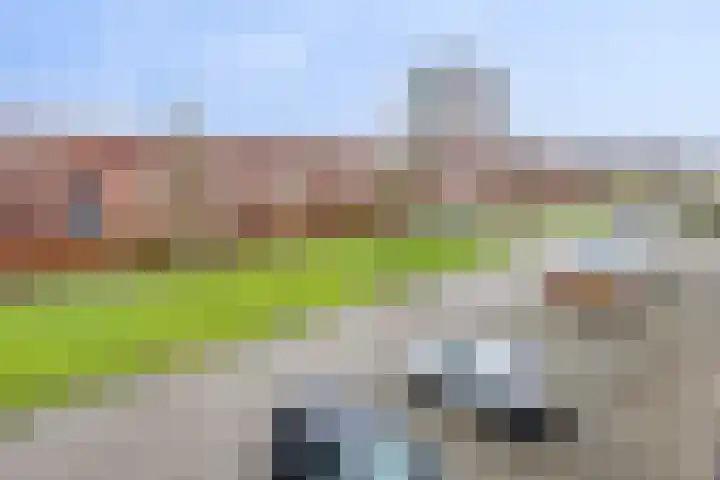 Nieuwlandstraat 20 Zoetermeer thumbnail 41
