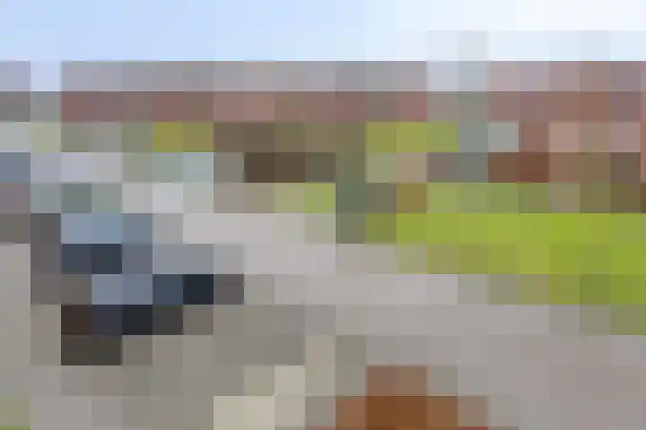 Nieuwlandstraat 20 Zoetermeer thumbnail 42