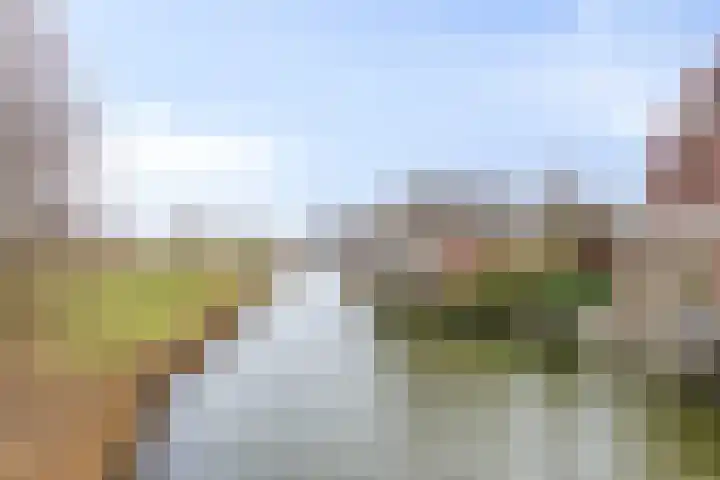 Nieuwlandstraat 20 Zoetermeer thumbnail 43