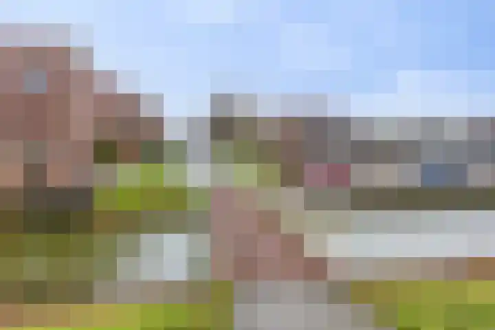 Nieuwlandstraat 20 Zoetermeer thumbnail 44