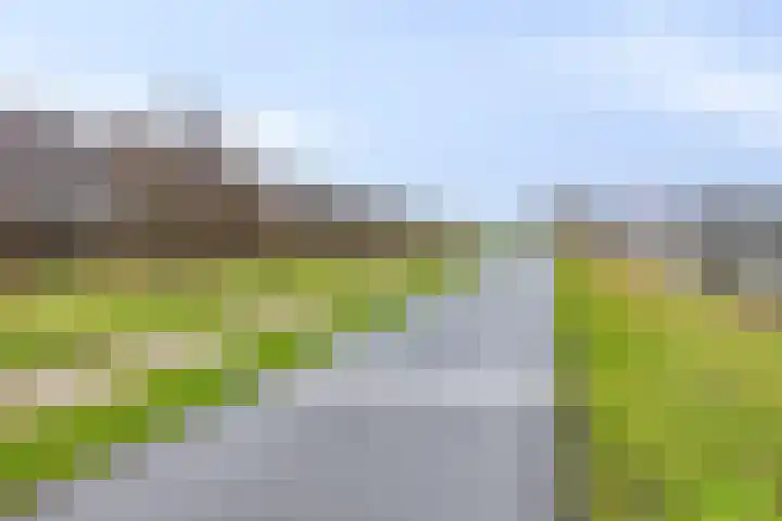 Nieuwlandstraat 20 Zoetermeer thumbnail 45