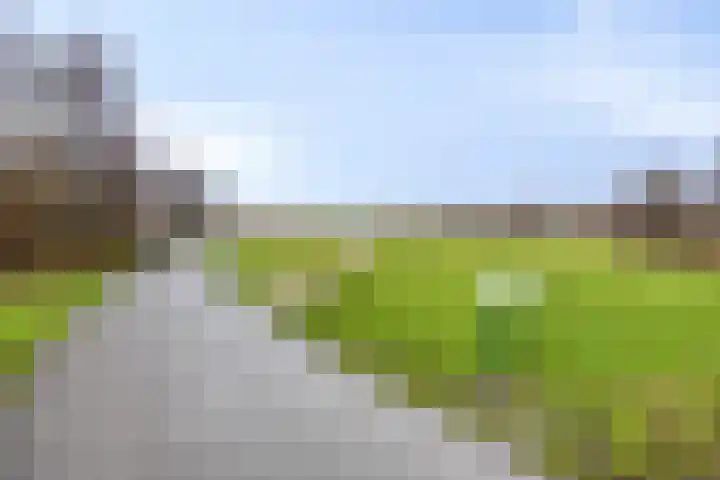 Nieuwlandstraat 20 Zoetermeer thumbnail 47