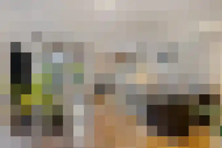 Nieuwlandstraat 20 Zoetermeer thumbnail 5