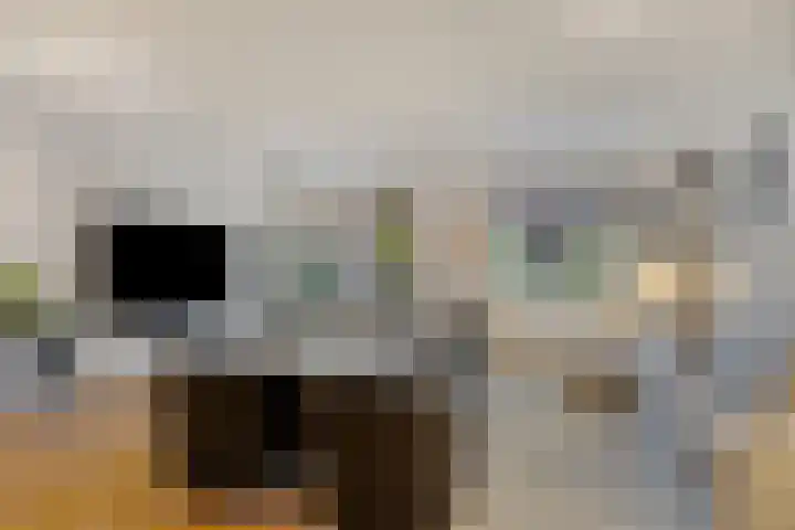 Nieuwlandstraat 20 Zoetermeer thumbnail 6