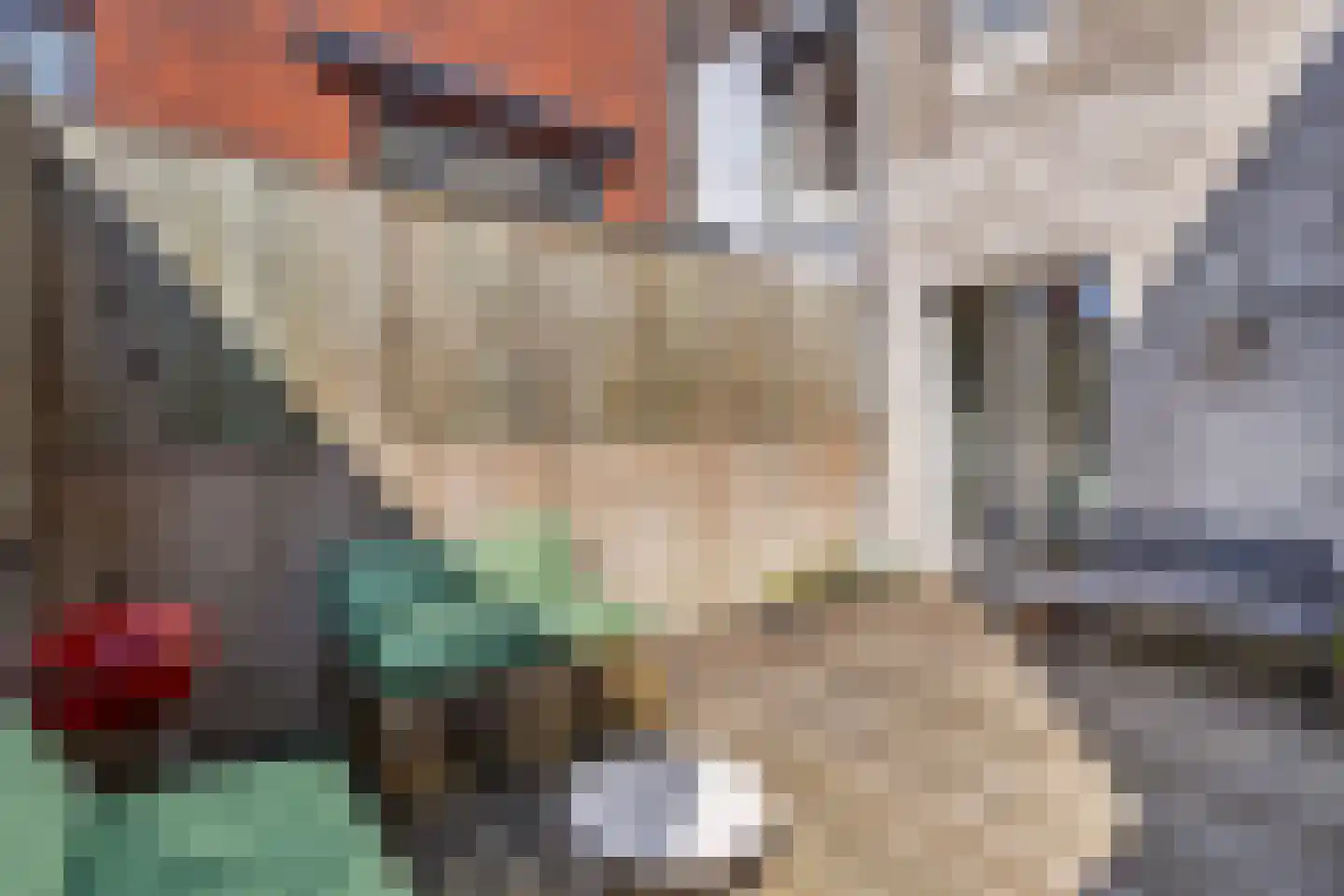 Nieuwlandstraat 29 Tilburg thumbnail 20