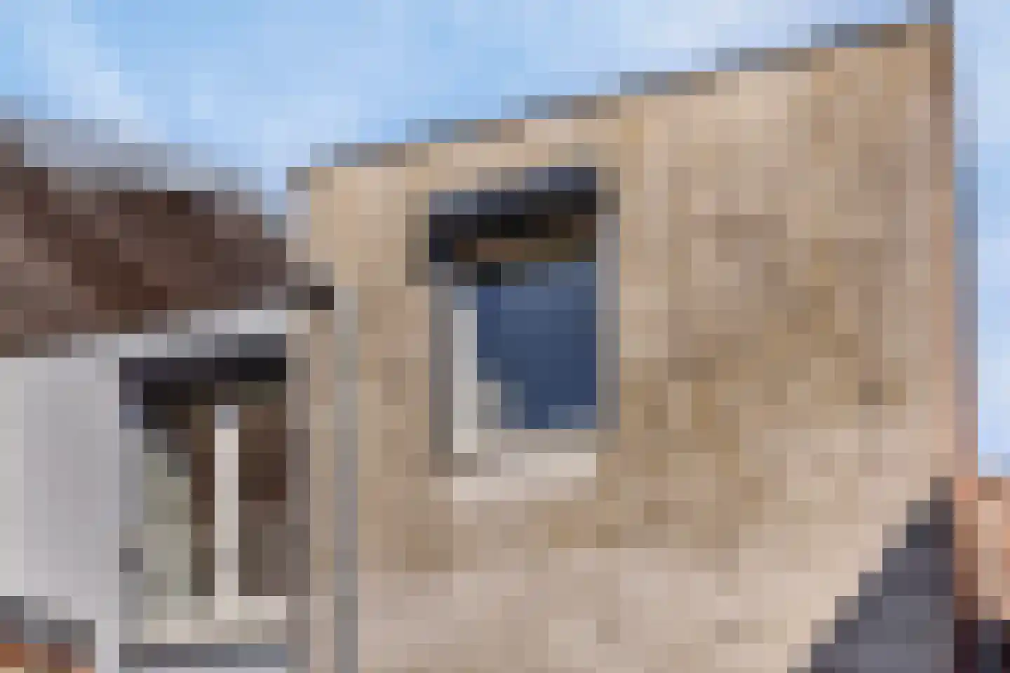 Nieuwlandstraat 29 Tilburg thumbnail 22