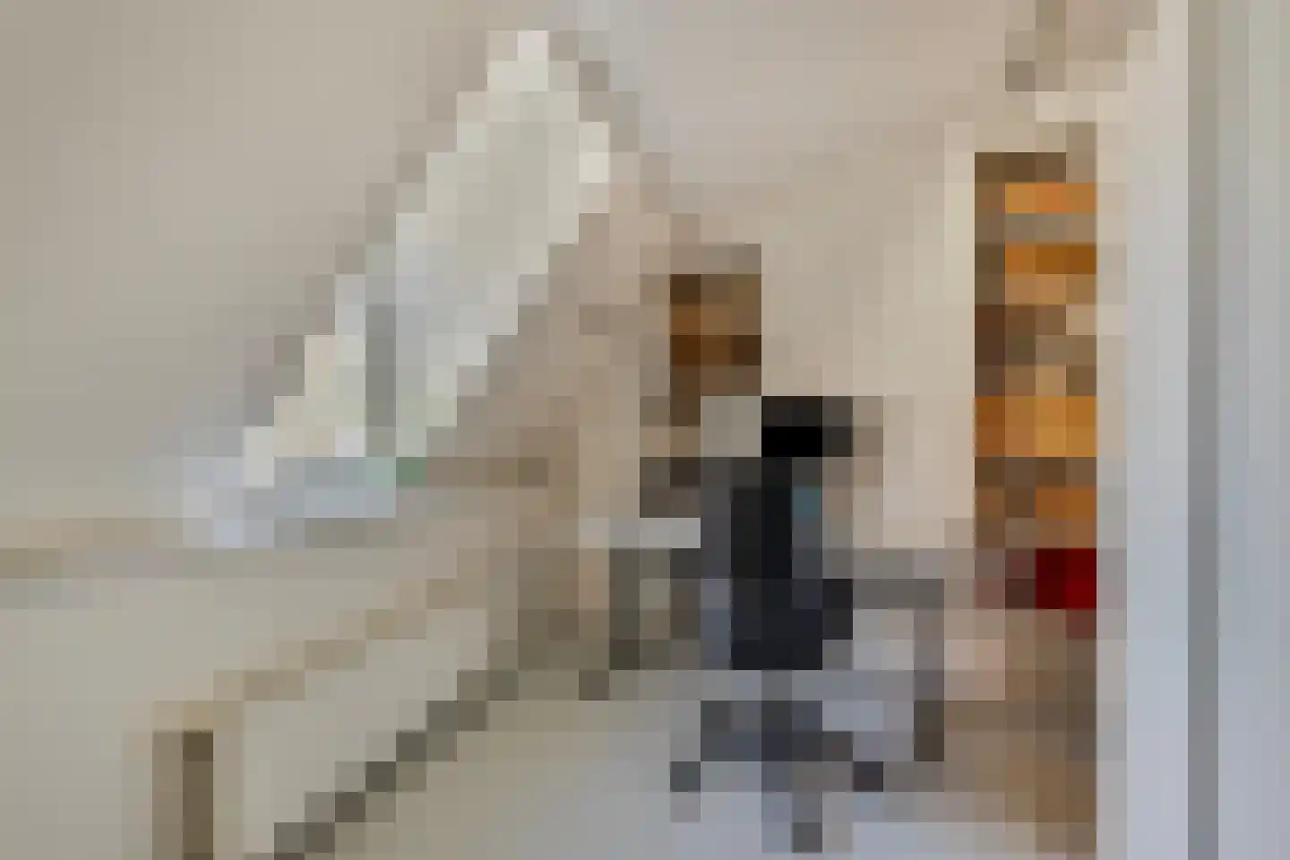Nieuwlandstraat 29 Tilburg thumbnail 31