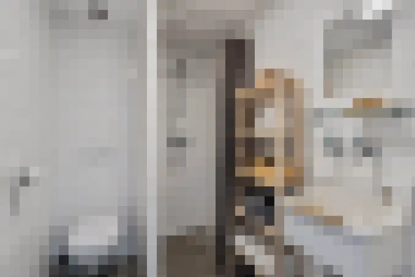 Nieuwlandstraat 29 Tilburg thumbnail 33