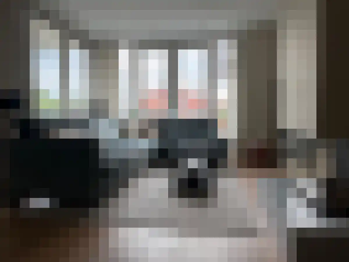 Nieuwlandstraat 34 d Tilburg thumbnail 4