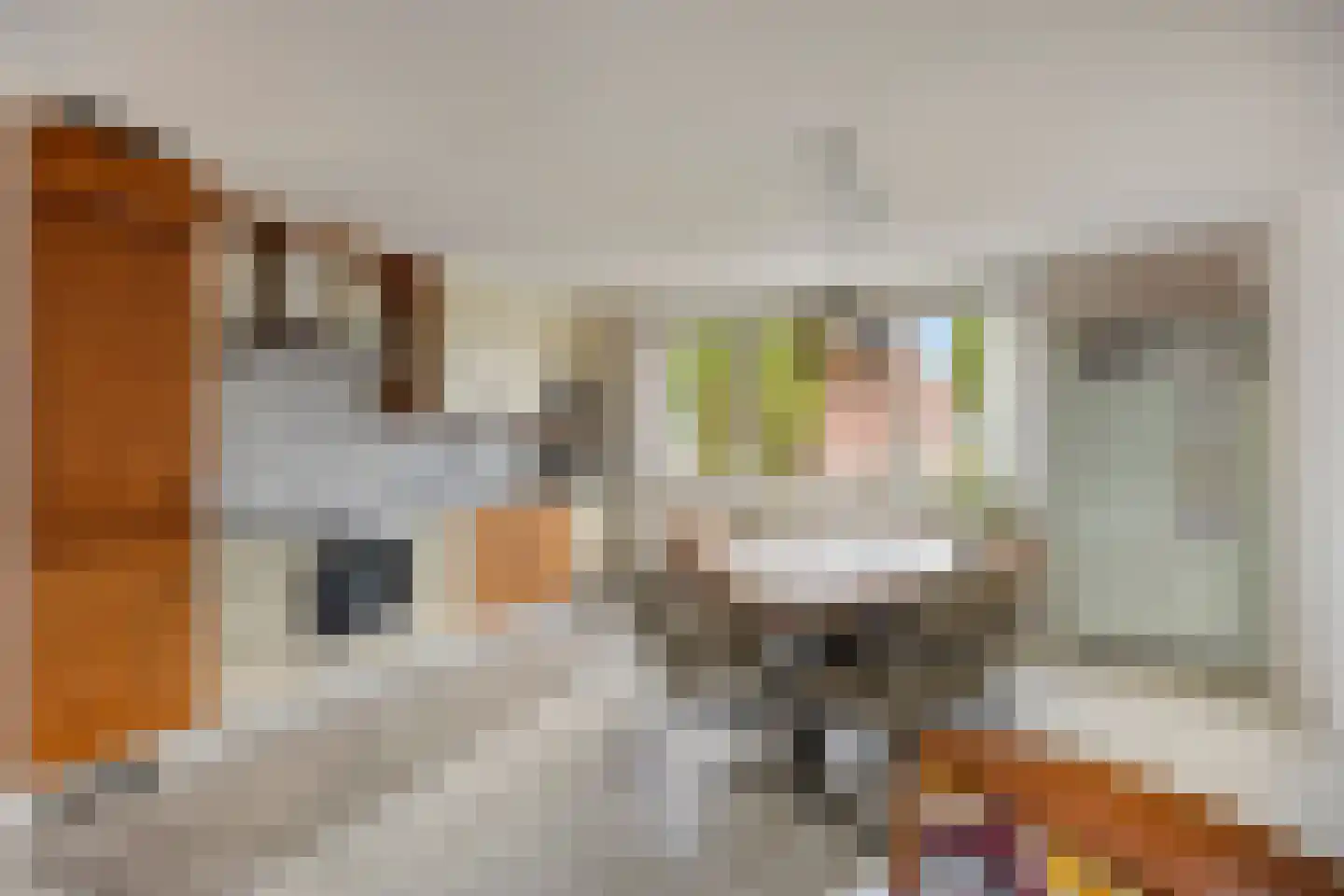Nieuwlandstraat 4 Zoetermeer thumbnail 16