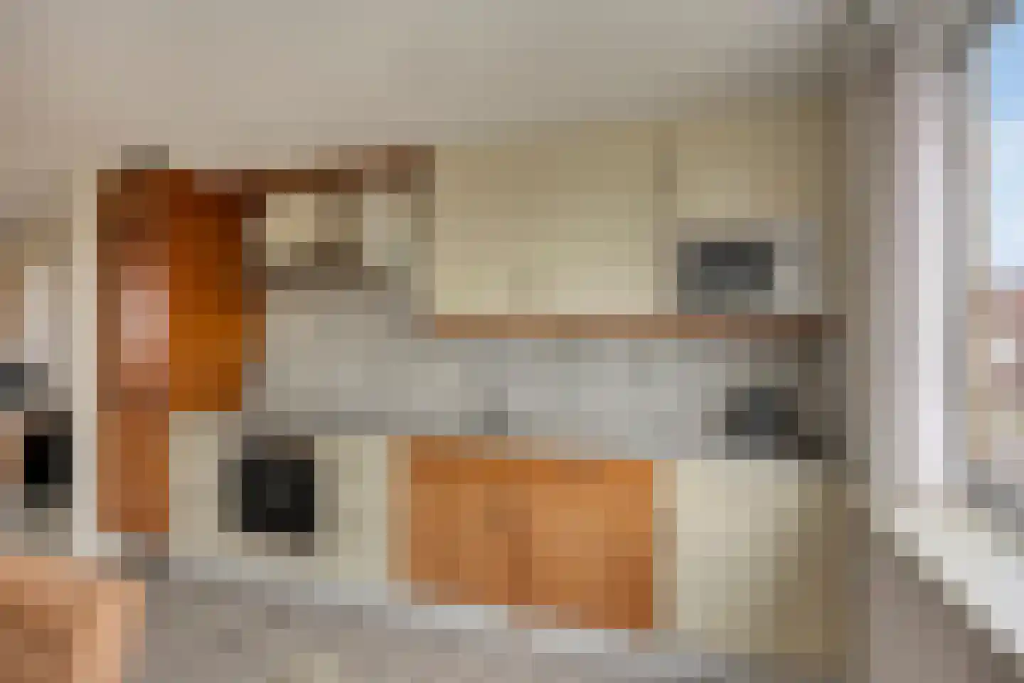 Nieuwlandstraat 4 Zoetermeer thumbnail 17