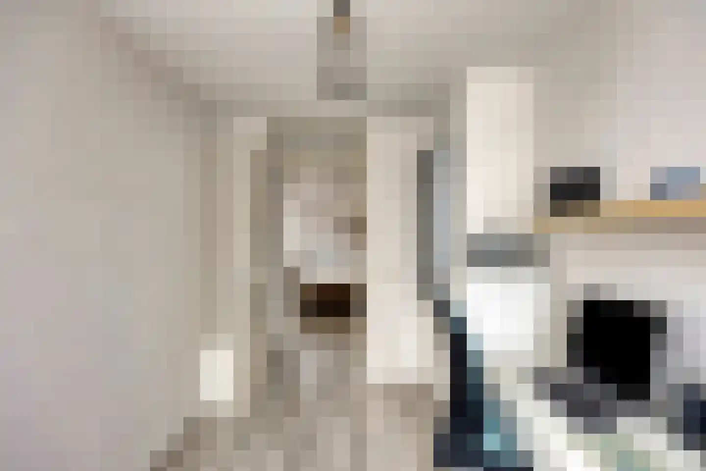 Nieuwlandstraat 4 Zoetermeer thumbnail 26