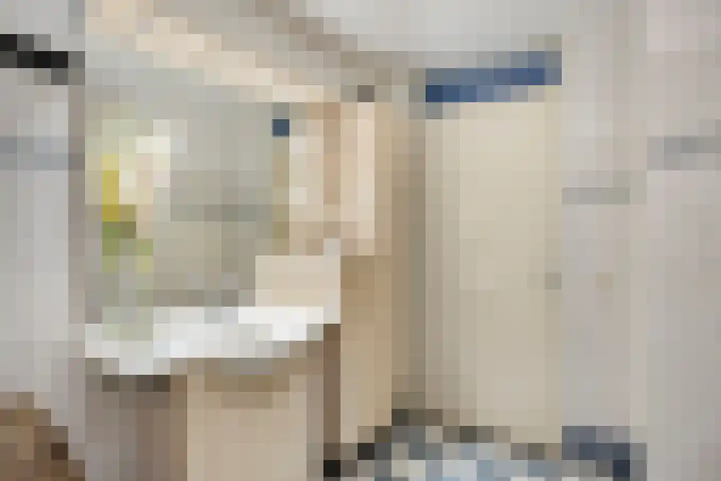 Nieuwlandstraat 4 Zoetermeer thumbnail 30