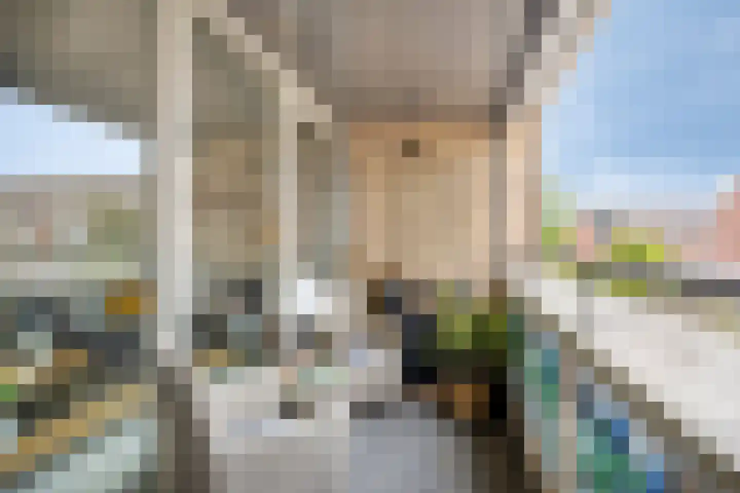 Nieuwlandstraat 4 Zoetermeer thumbnail 32