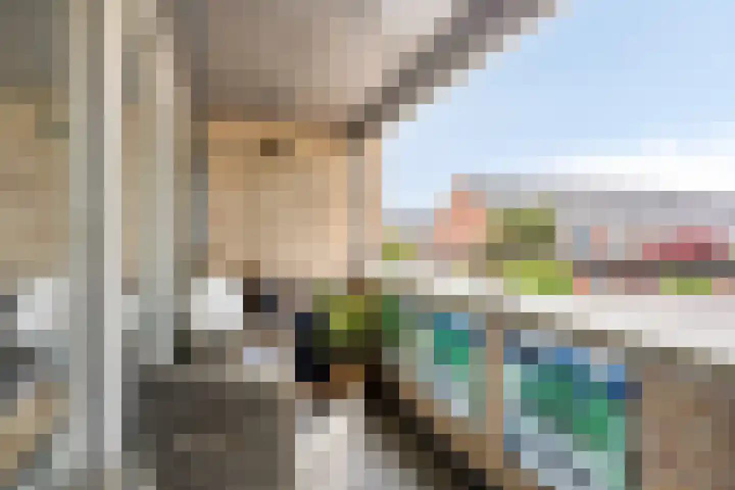 Nieuwlandstraat 4 Zoetermeer thumbnail 33