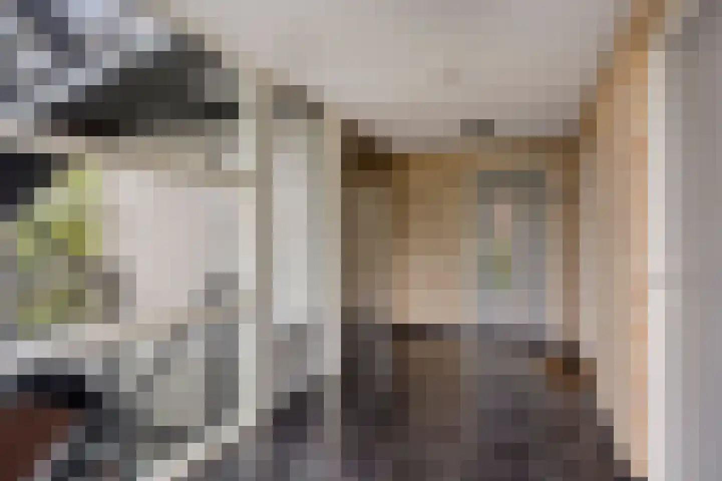 Nieuwlandstraat 4 Zoetermeer thumbnail 7
