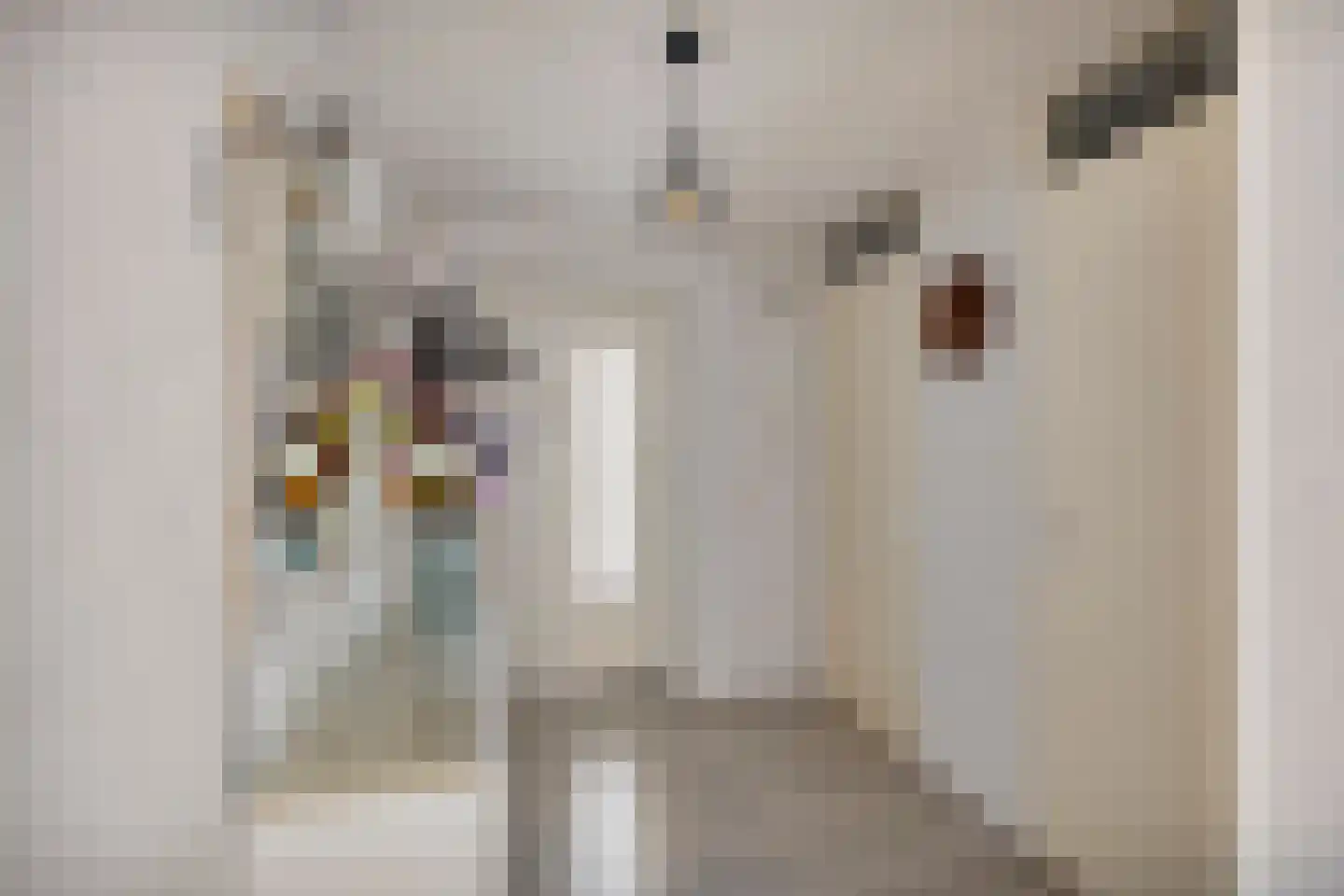 Nieuwlandstraat 4 Zoetermeer thumbnail 8