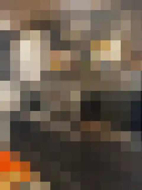 Nieuwlandstraat 5 Tilburg thumbnail 6