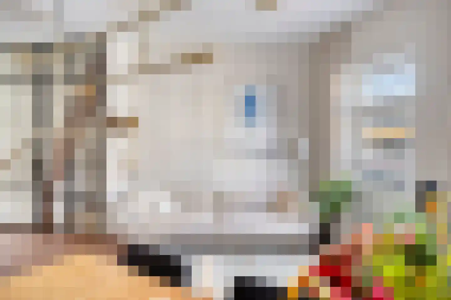 Nieuwlandstraat 57 Tilburg thumbnail 5