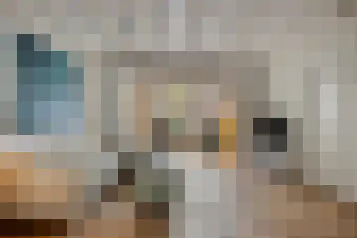 Nieuwlandstraat 6 Tilburg thumbnail 10