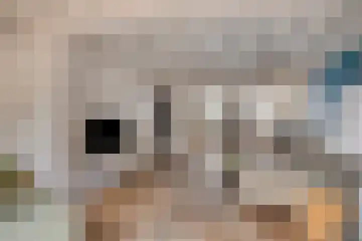 Nieuwlandstraat 6 Tilburg thumbnail 12