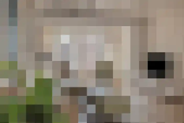 Nieuwlandstraat 6 Tilburg thumbnail 15
