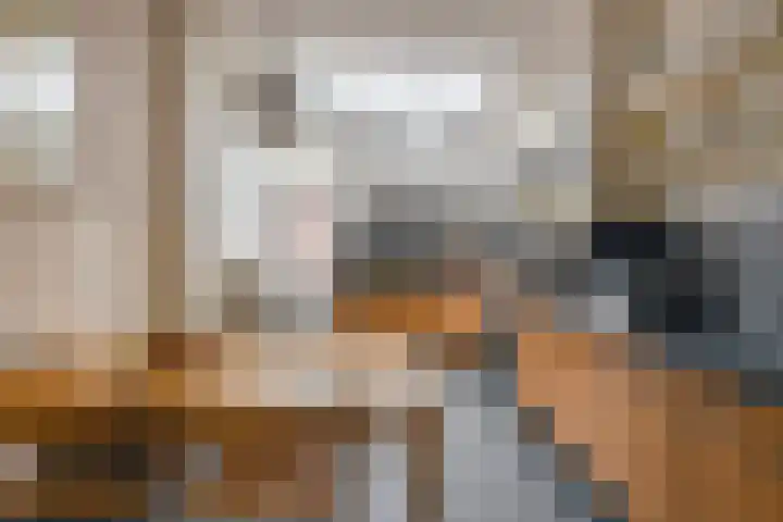 Nieuwlandstraat 6 Tilburg thumbnail 21