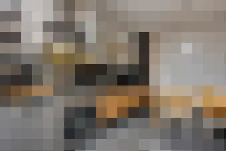 Nieuwlandstraat 6 Tilburg thumbnail 22
