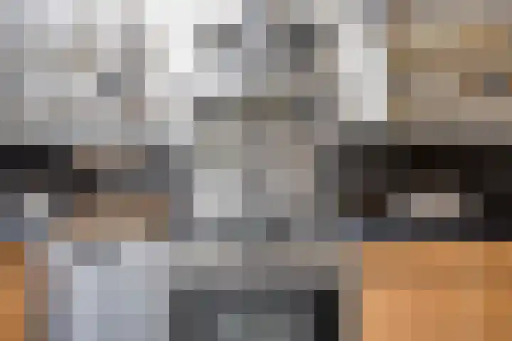 Nieuwlandstraat 6 Tilburg thumbnail 24