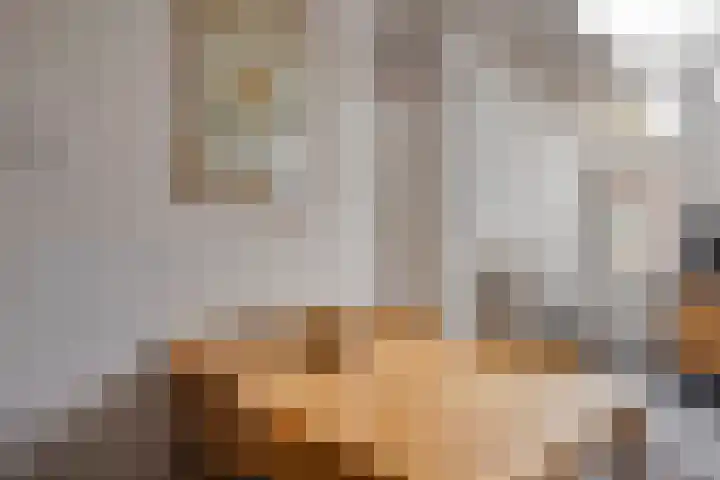Nieuwlandstraat 6 Tilburg thumbnail 26