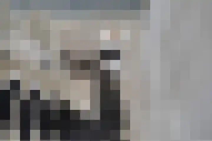 Nieuwlandstraat 6 Tilburg thumbnail 27