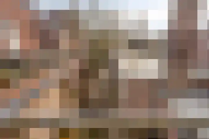 Nieuwlandstraat 6 Tilburg thumbnail 36