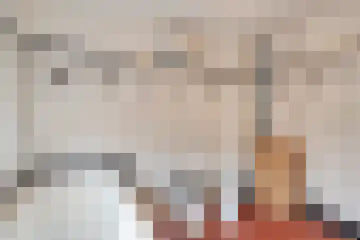 Nieuwlandstraat 6 Tilburg thumbnail 38