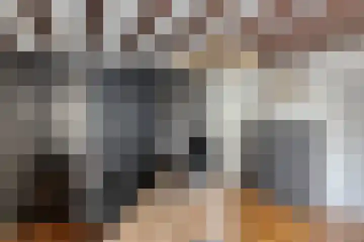 Nieuwlandstraat 6 Tilburg thumbnail 43
