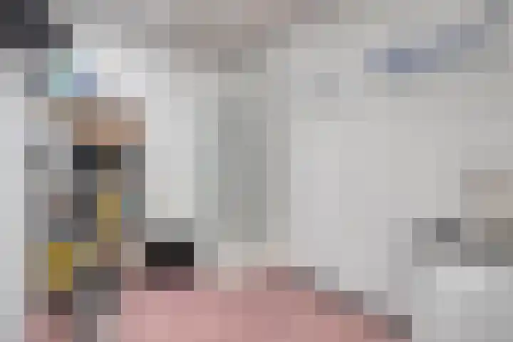 Nieuwlandstraat 6 Tilburg thumbnail 49