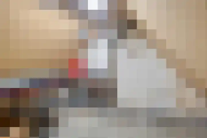 Nieuwlandstraat 6 Tilburg thumbnail 68