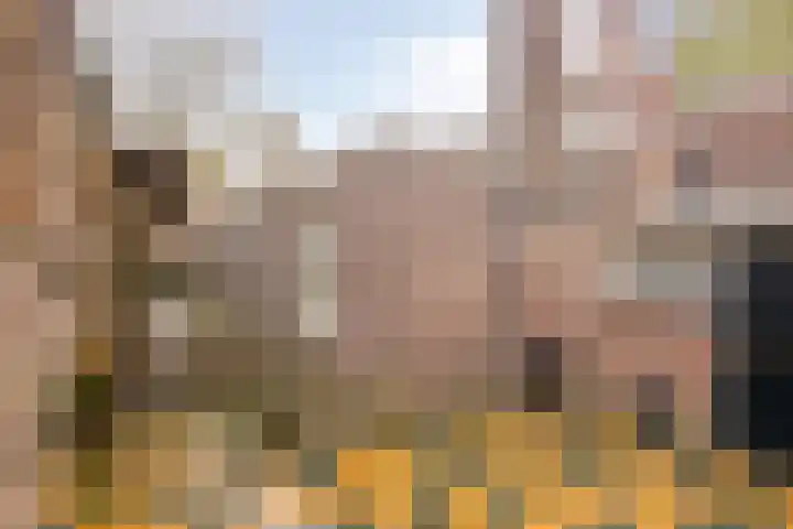 Nieuwlandstraat 6 Tilburg thumbnail 71