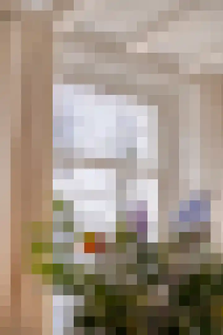 Nieuwlandstraat 6 Tilburg thumbnail 9