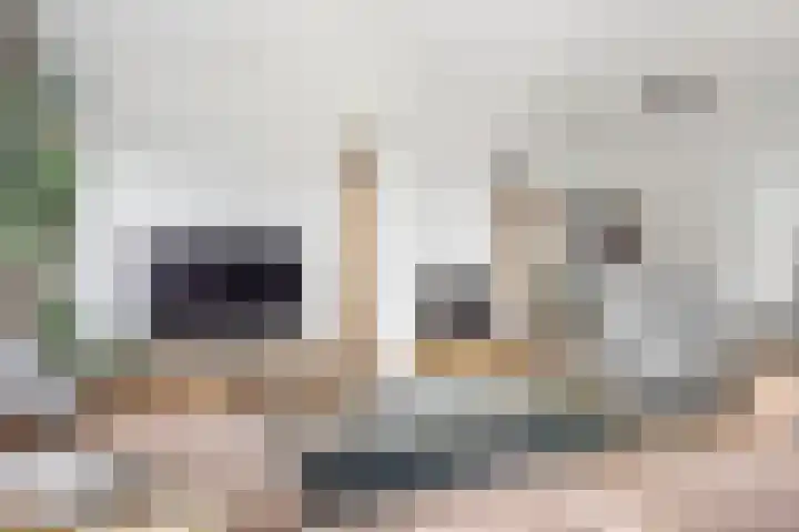 Nieuwlandstraat 7 Zoetermeer thumbnail 10