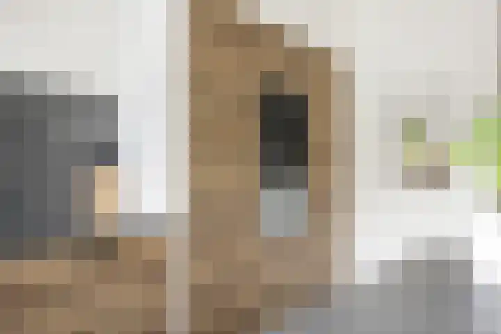 Nieuwlandstraat 7 Zoetermeer thumbnail 18