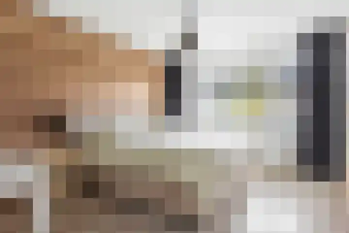 Nieuwlandstraat 7 Zoetermeer thumbnail 22