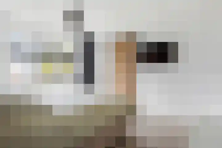 Nieuwlandstraat 7 Zoetermeer thumbnail 23