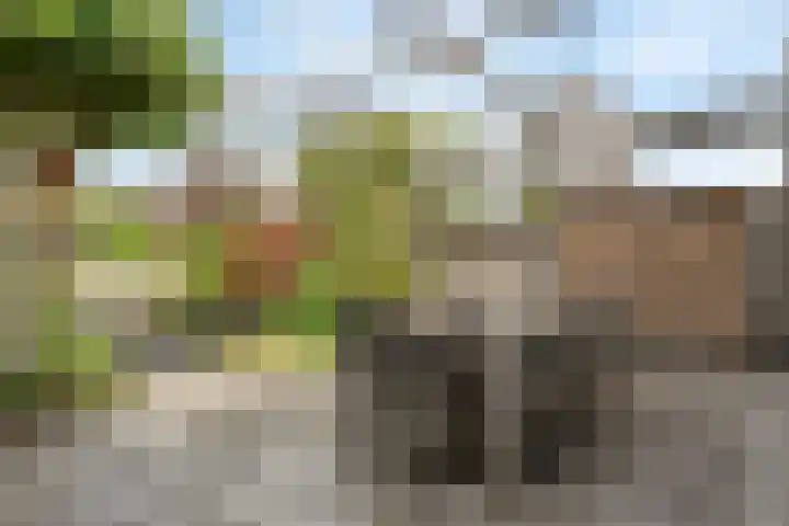 Nieuwlandstraat 7 Zoetermeer thumbnail 38